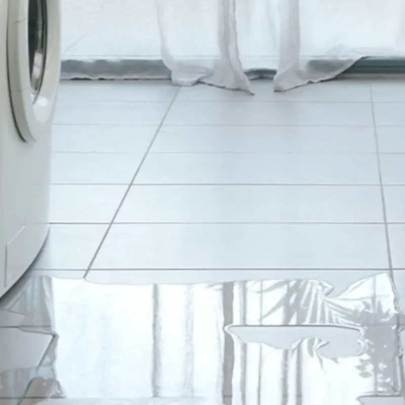 Appliance Leak Cleanup in Saline County, MO
