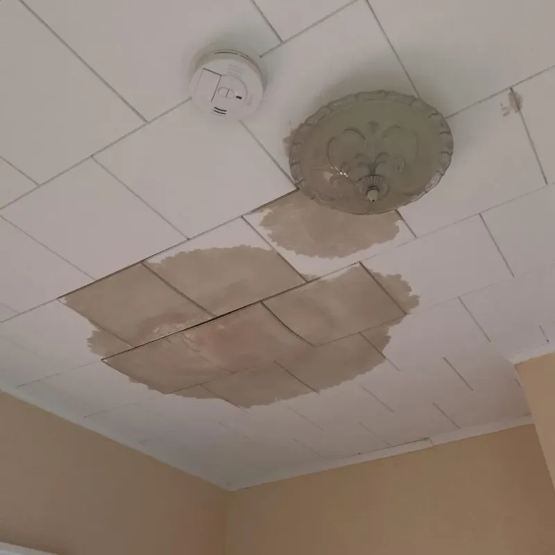 Ceiling Water Damage Repair in Saline County, MO