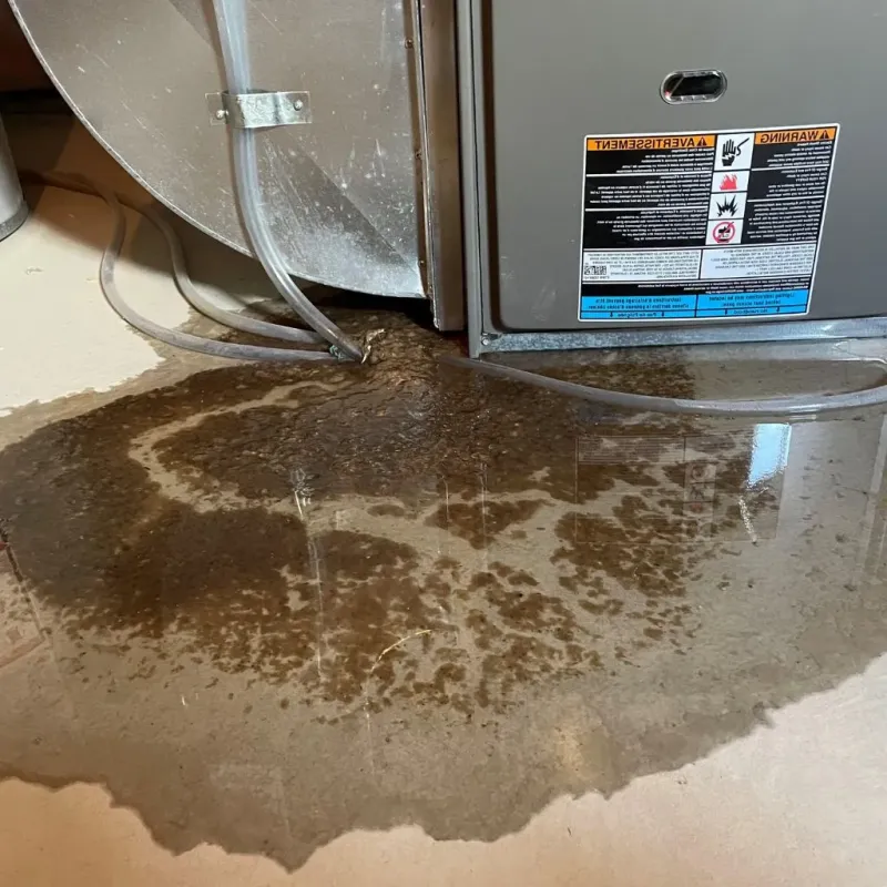Pipe Burst and Leak Restoration in Saline County, MO