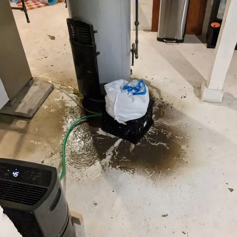 Sewage Backup Cleanup Service in Saline County, MO